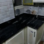 Black Forest - Image 4