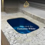 Fantastic White - Image 3