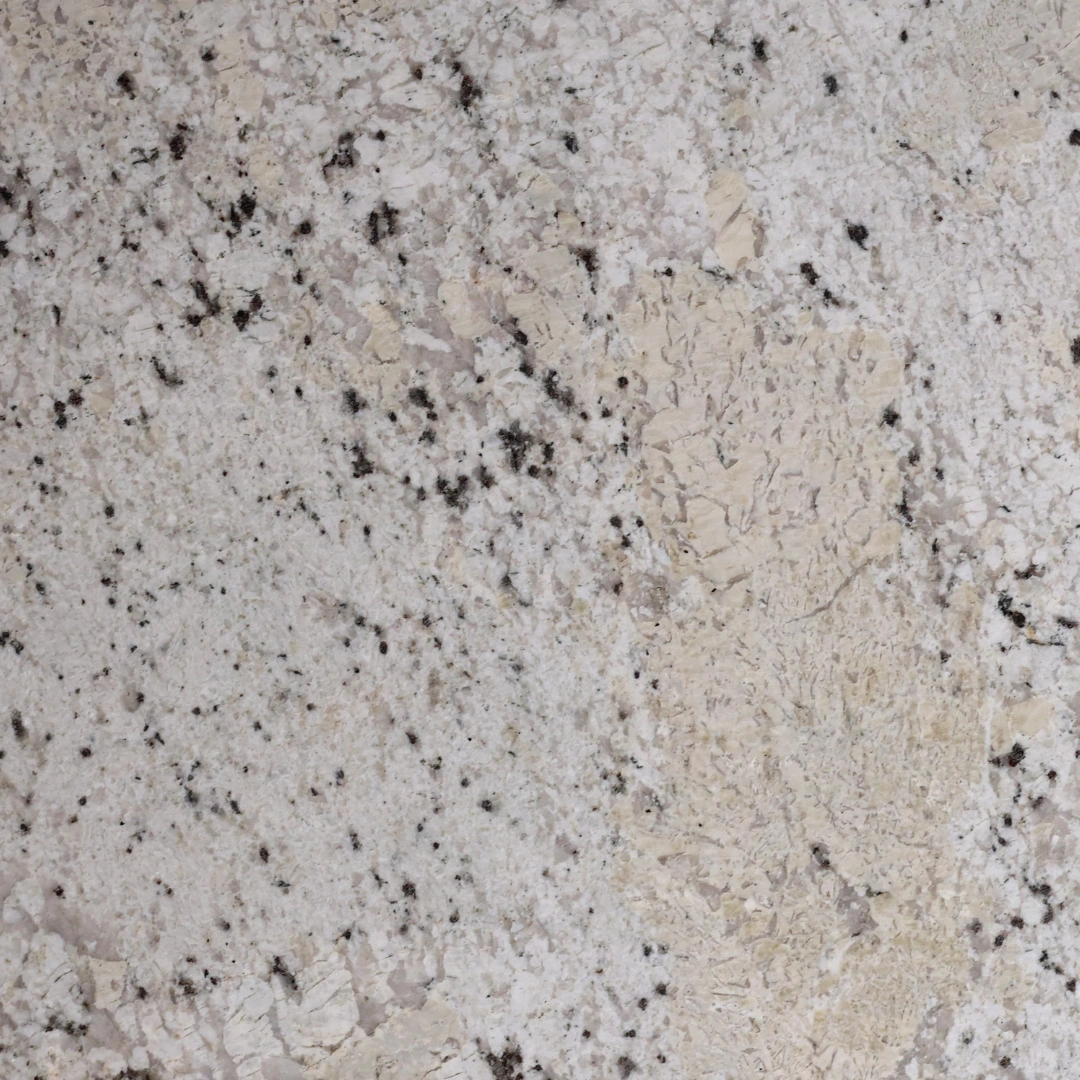 fantastic white main Fantastic White - Image 1