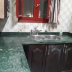 Indian Green - Image 2